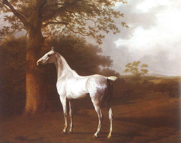 Agasse, Jacques-Laurent White Horse in Pasture France oil painting art